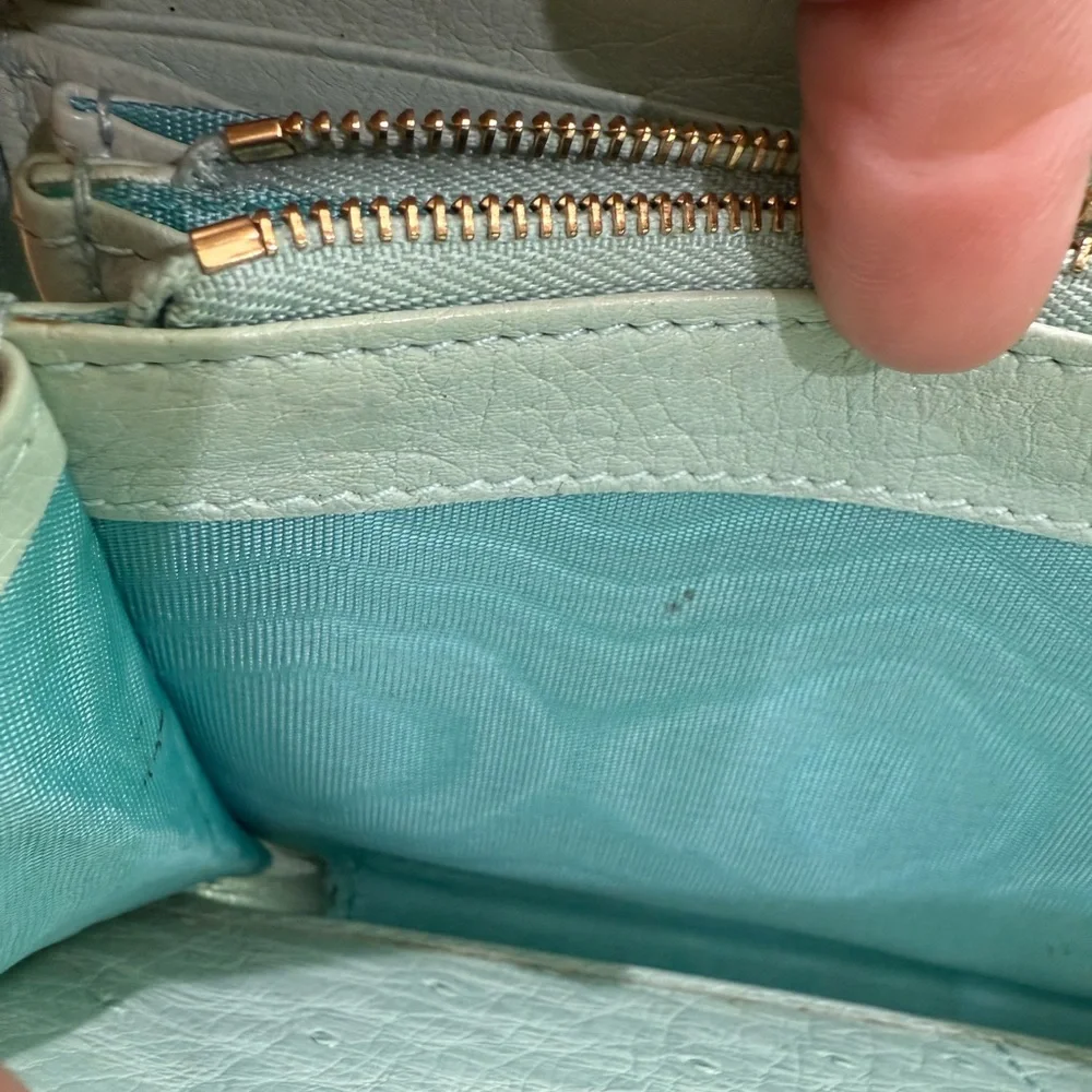 Gucci Ostrich Long Mint Green Wallet